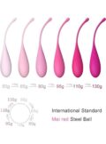 Kegel Ball for Women Vaginal Weight Set of 6 Premium Silicone