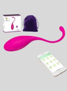 Wearable Panty G-Spot Vibrator Dildo with App Control