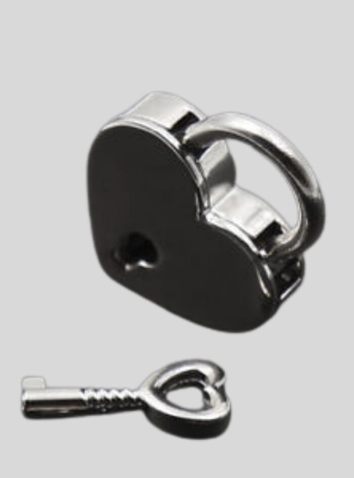 2 X Fetish Bondage Mini Padlocks Restraint BDSM Slave