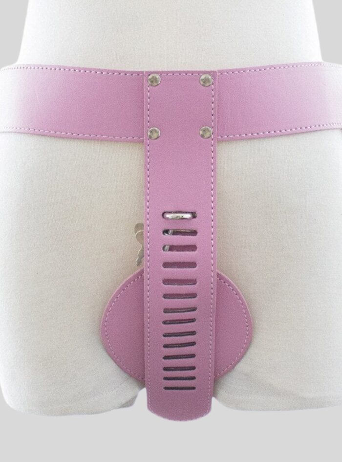 Strap-In Chastity Harness