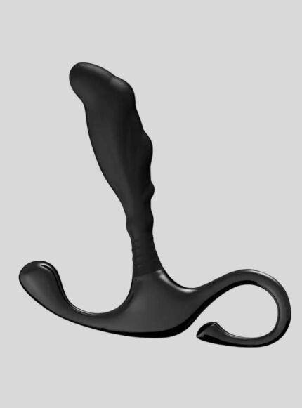 Anal plug prostate toy