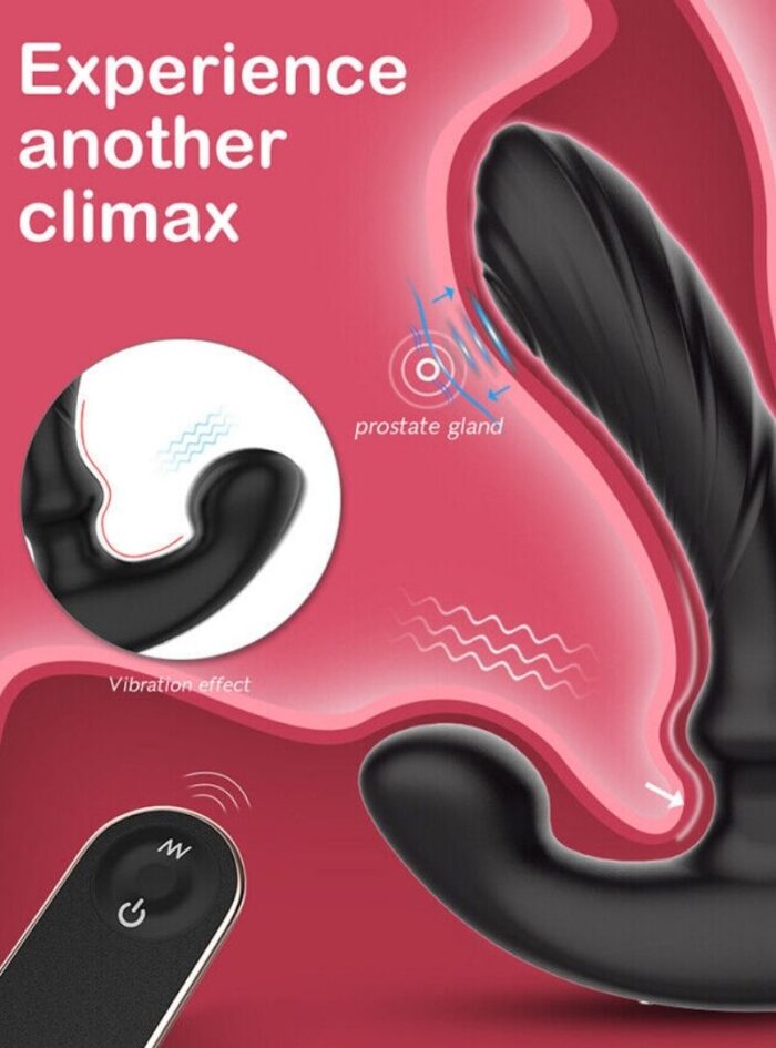 Dual motor stimulation prostate massager