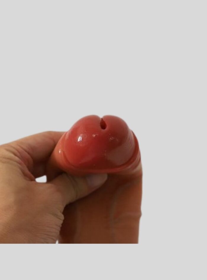 Hollow Realistic Penis for FTM